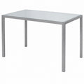 Vicco Moderner Esstisch Grau 120x70 cm f¨¹r K¨¹che und Esszimmer